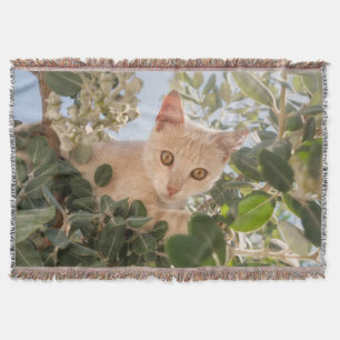 Cute Cat Kitten climbing in an Eucalyptus Tree - Throw Blanket