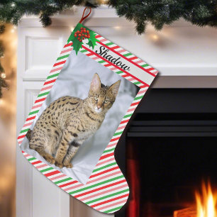 Cute Cat Kitten Photo Christmas Stocking Add Name