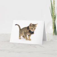 Cute Cat Leopard Print Collar Birthday Card