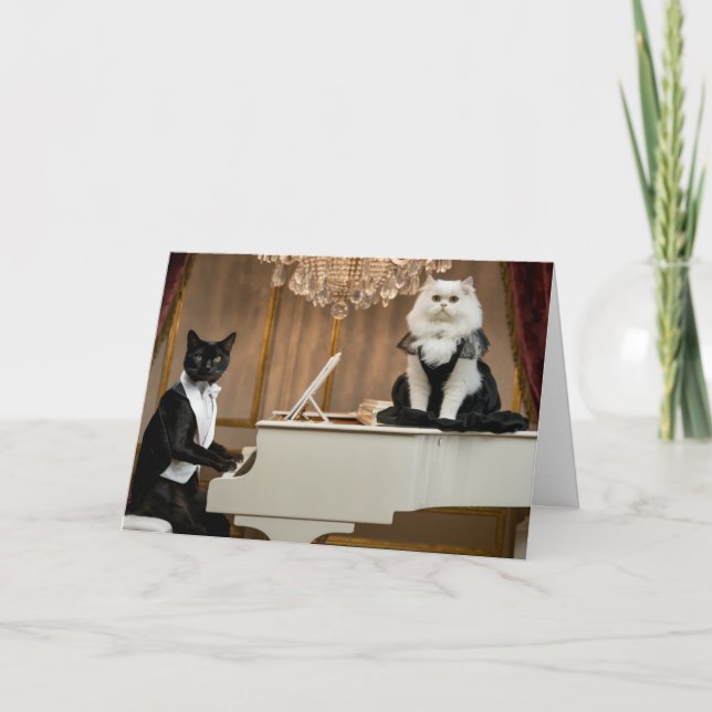 Cute Cat Lounge Duo Greeting Card (Front)