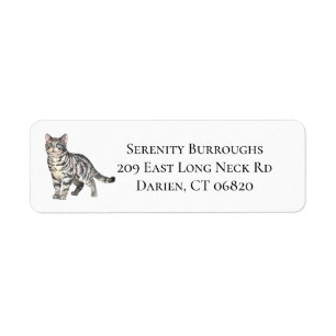Cute Cat Lover Grey Tabby Tiger Kitten Kitty Mom