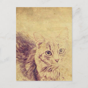 Cute cat lover pencil sketch grey tabby cat postcard