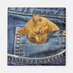 Cute Cat Lovers Keepsake gift Magnet
