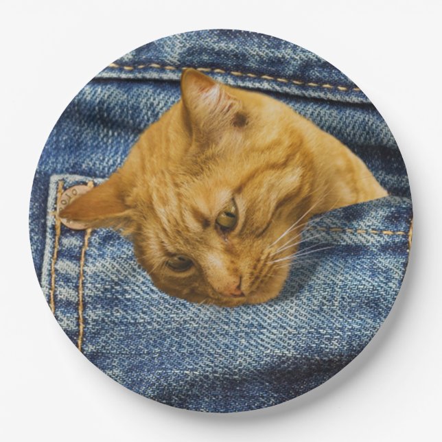 Cute Cat Lovers Keepsake gift Paper Plate (Front)