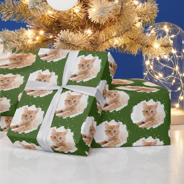 Cute Cat Lovers Personalized Photo Pattern Green Wrapping Paper (Holidays)