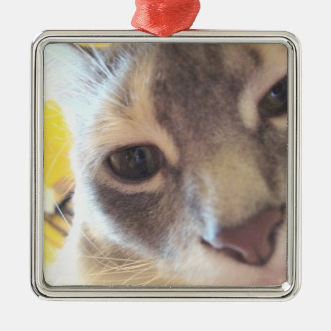 Cute Cat Metal Ornament (Front)