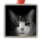Cute Cat