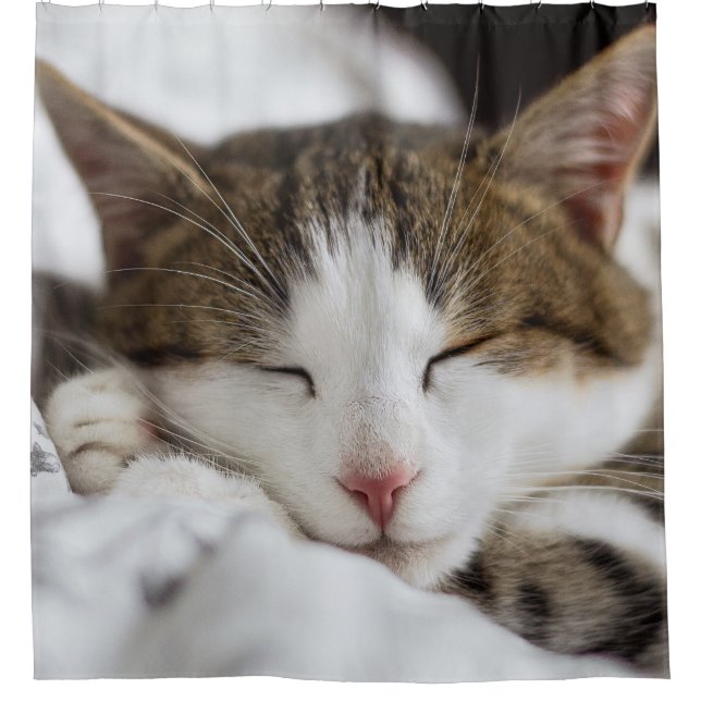 Cute Cat Nap  (Front)