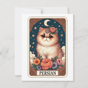 Cute Cat Note Card