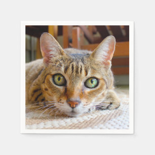Cute Cat paper napkins