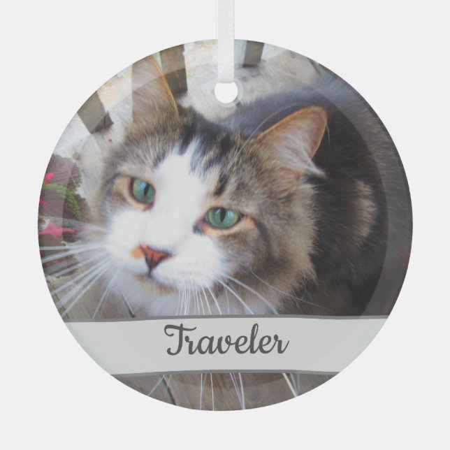 Cute Cat Pet Lovers Create Your Own Custom Glass Ornament (Front)