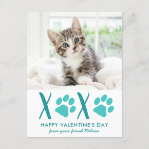 Cute Cat Pet Photo Valentine XOXO Holiday Card