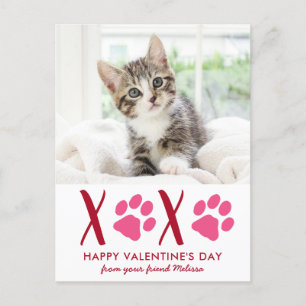 Cute Cat Pet Photo Valentines Jour de Fêtes Carte