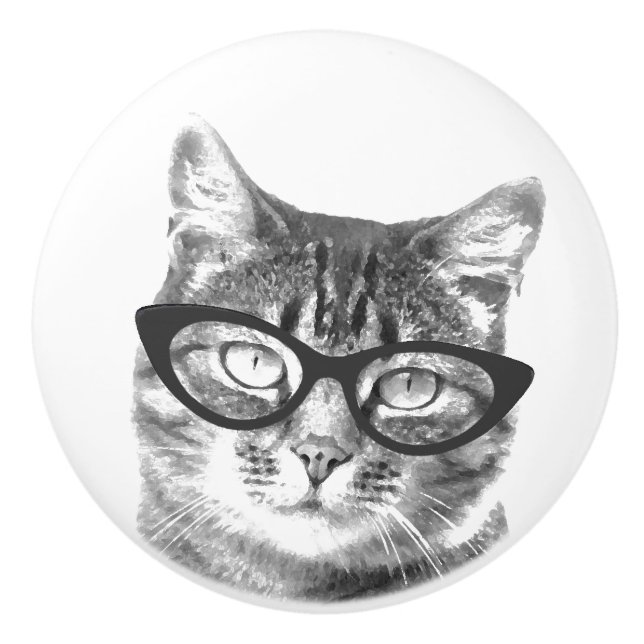 Cute cat photo ceramic door and drawer knobs (Front)
