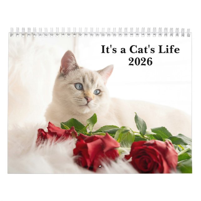 Cute Cat Photo It’s A Cat’s Life 2026  Calendar (Cover)