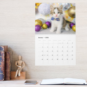 Cute Cat Photo It’s A Cat’s Life 2027 Calendar