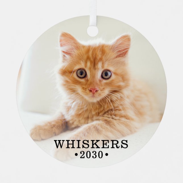 Cute Cat Photo Metal Ornament (Front)