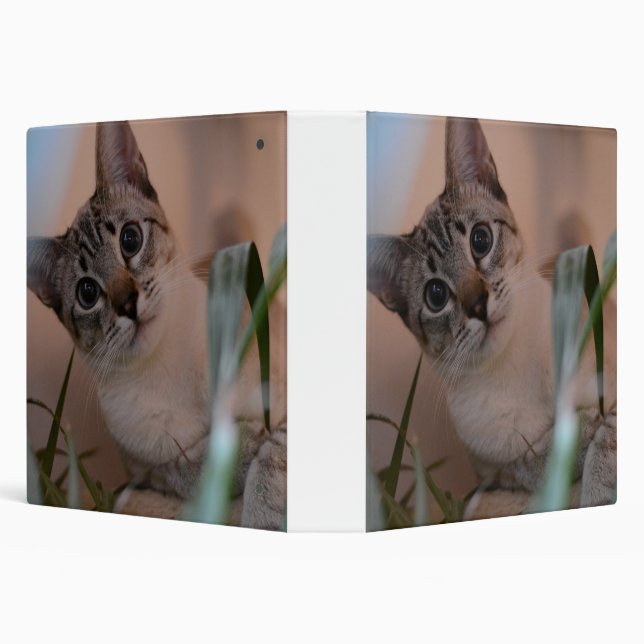 Cute Cat Photo Portrait Binder (Background)