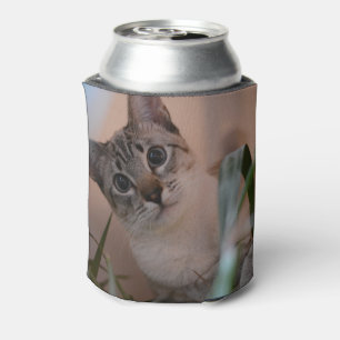 Cute Cat Photo Portrait Can Cooler