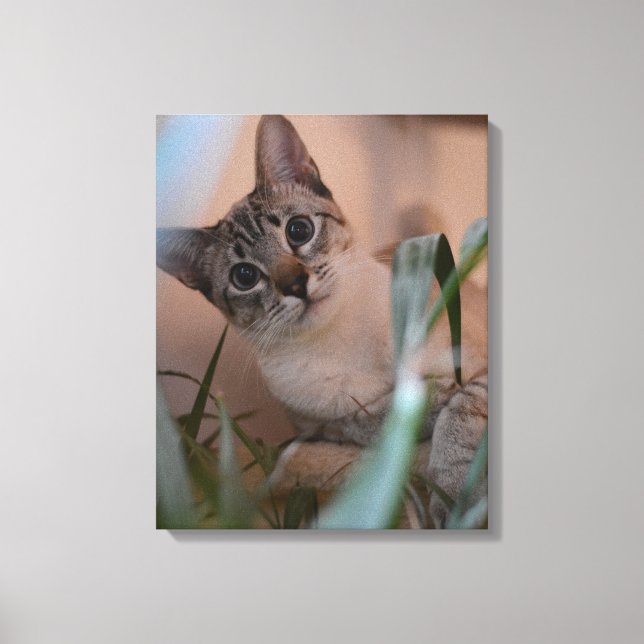 Cute Cat Photo Portrait Canvas Print (Front)