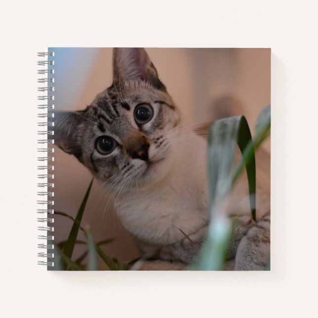 Cute Cat Photo Portrait Notebook (Front)