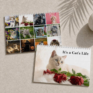 Cute Cat Photos It’s A Cat’s Life Calendar