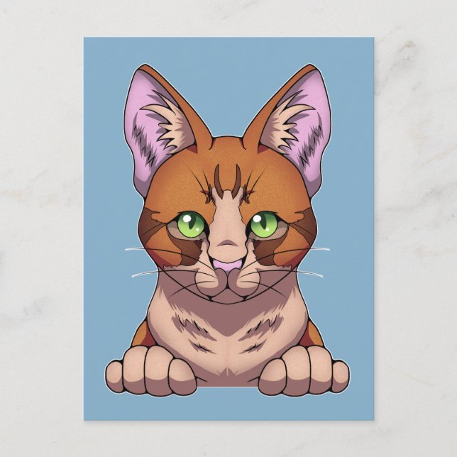 Cute Cat Postcard (Front)