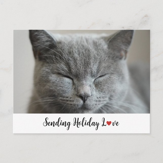 Cute Cat Sending Holiday Love  Postcard (Front)