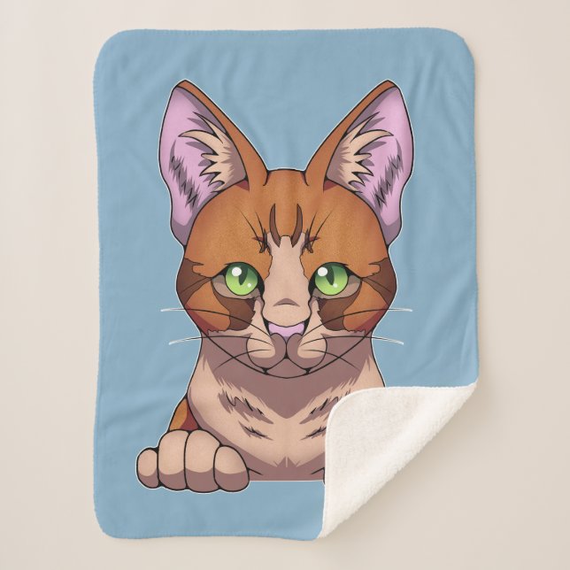Cute Cat Sherpa Blanket (Front)