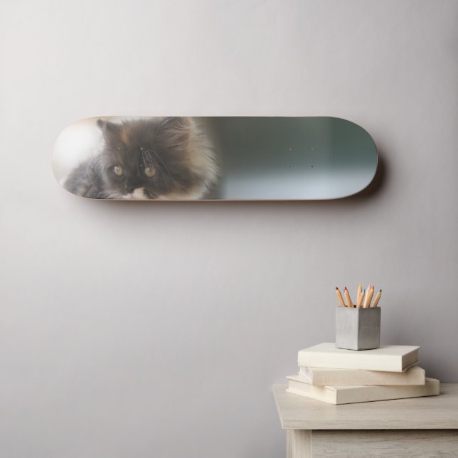 Cute Cat Skateboard (Wall Art (Horz))