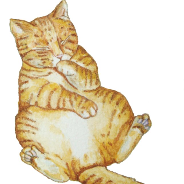 cute cat sleeping ginger kitten art design keychain (Creator Uploaded)