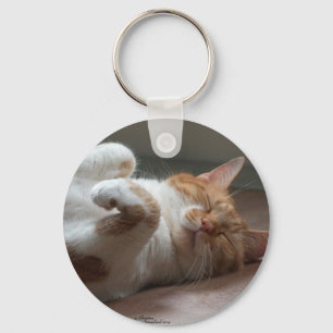 Cute Cat sleeping Keychain