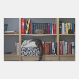 Cute cat sleeping on bookshelf library books sticker