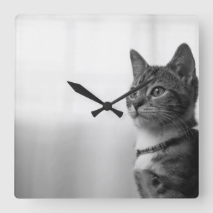 Cute Cat Square Wall Clock