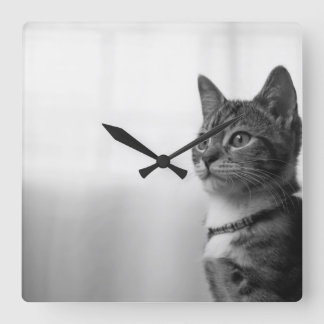 Cute Cat Square Wall Clock