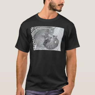Cute Cat stuff for Cat girls women men kids boys T-Shirt