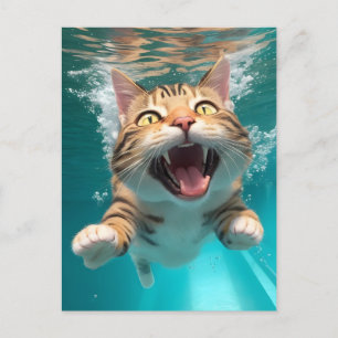Cute Cat Swimming Diving Underwater in Pool Funny Postcard