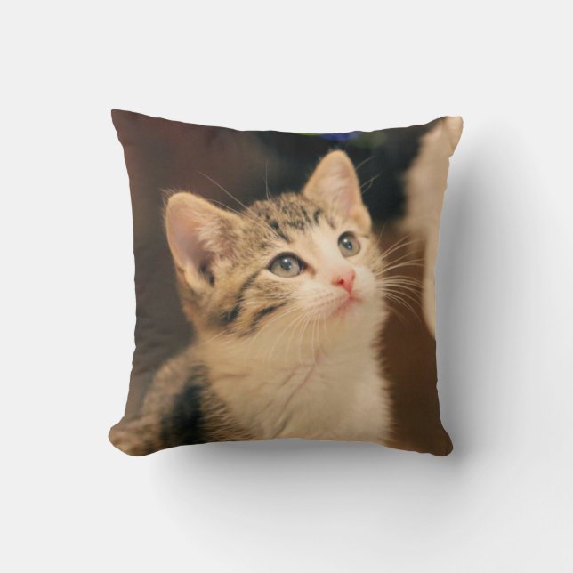 Cute cat throw pillow (Front)