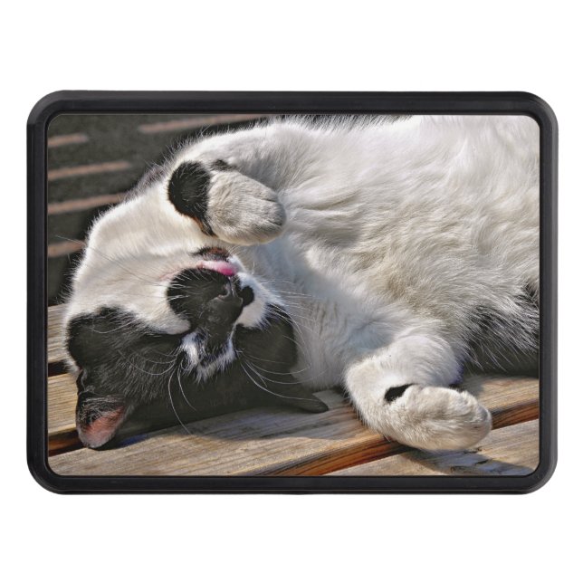 CUTE CAT TRAILER HITCH COVER (Front)