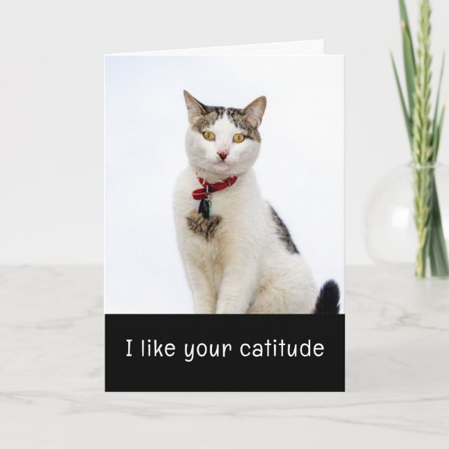 Cute Cat Valenitne's Day Card (Front)
