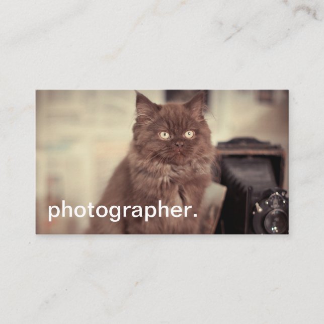 Cute Cat Vintage Camera Photographer Business Card (Front)