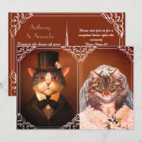 Cute cat wedding couple