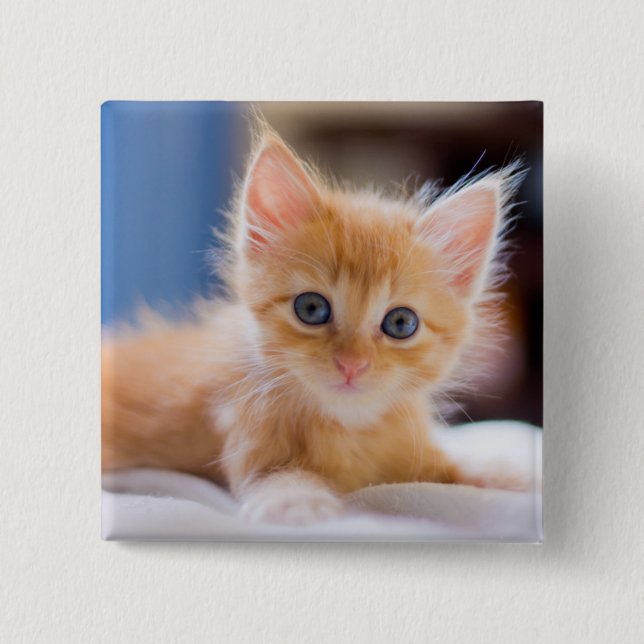 Cute Cat With Blue Eyes 2 Inch Square Button (Front)