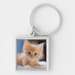 Cute Cat With Blue Eyes Keychain