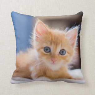 Cute Cat With Blue Eyes Throw Pillow