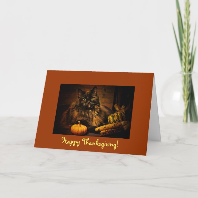 Cute Cat With Pumpkin - Thanksgiving! Holiday Card (Front)