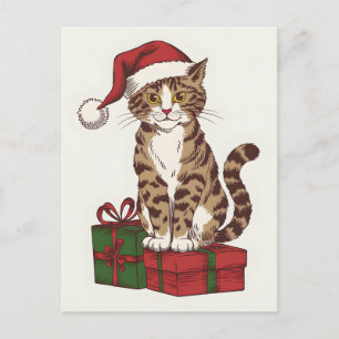 Cute cat with santa claus's hat with present  holiday postcard