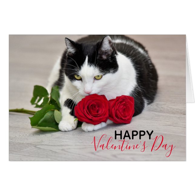 Cute cat with the red rose (Front Horizontal)