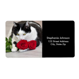 Cute cat with the red rose