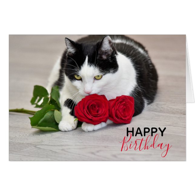 Cute cat with the red rose (Front Horizontal)